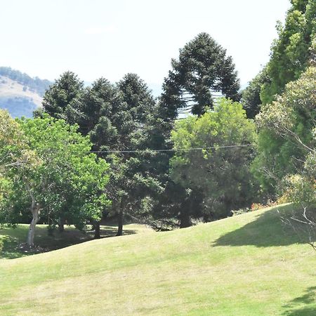 Maleny Hinterland Escape Apartment Witta ภายนอก รูปภาพ