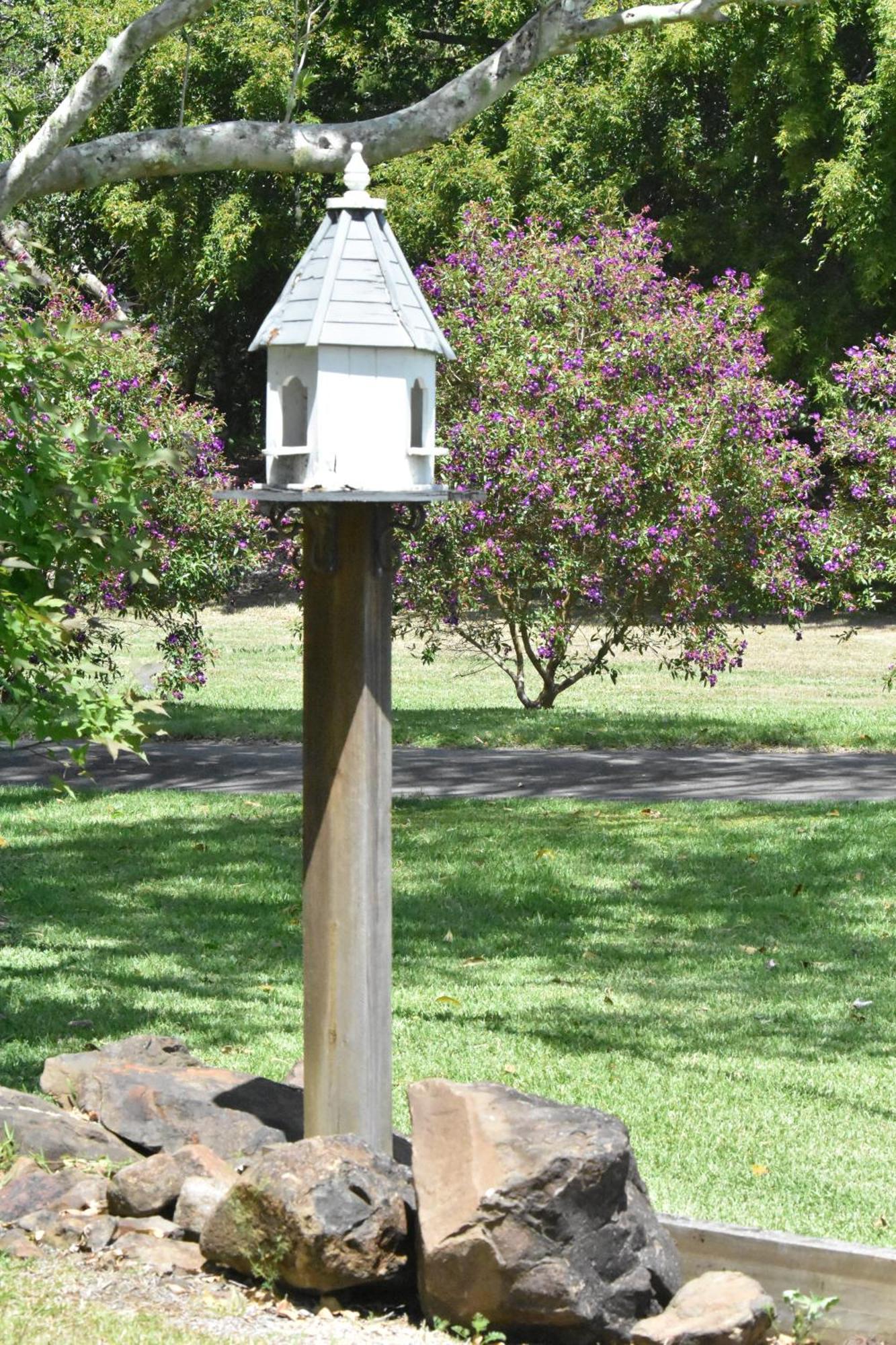 Maleny Hinterland Escape Apartment Witta ภายนอก รูปภาพ
