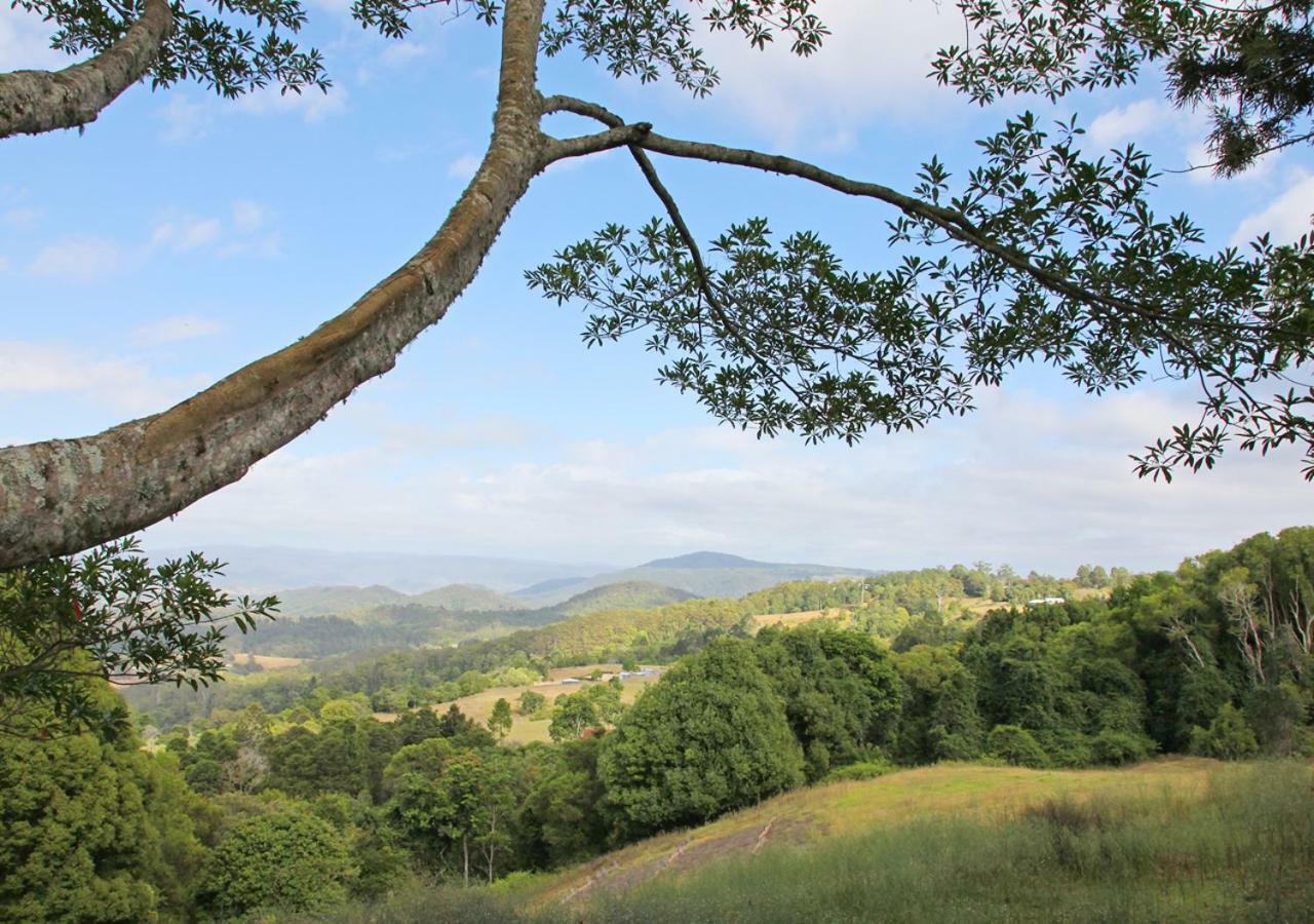 Maleny Hinterland Escape Apartment Witta ภายนอก รูปภาพ