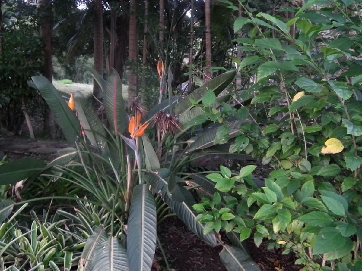 Maleny Hinterland Escape Apartment Witta ภายนอก รูปภาพ