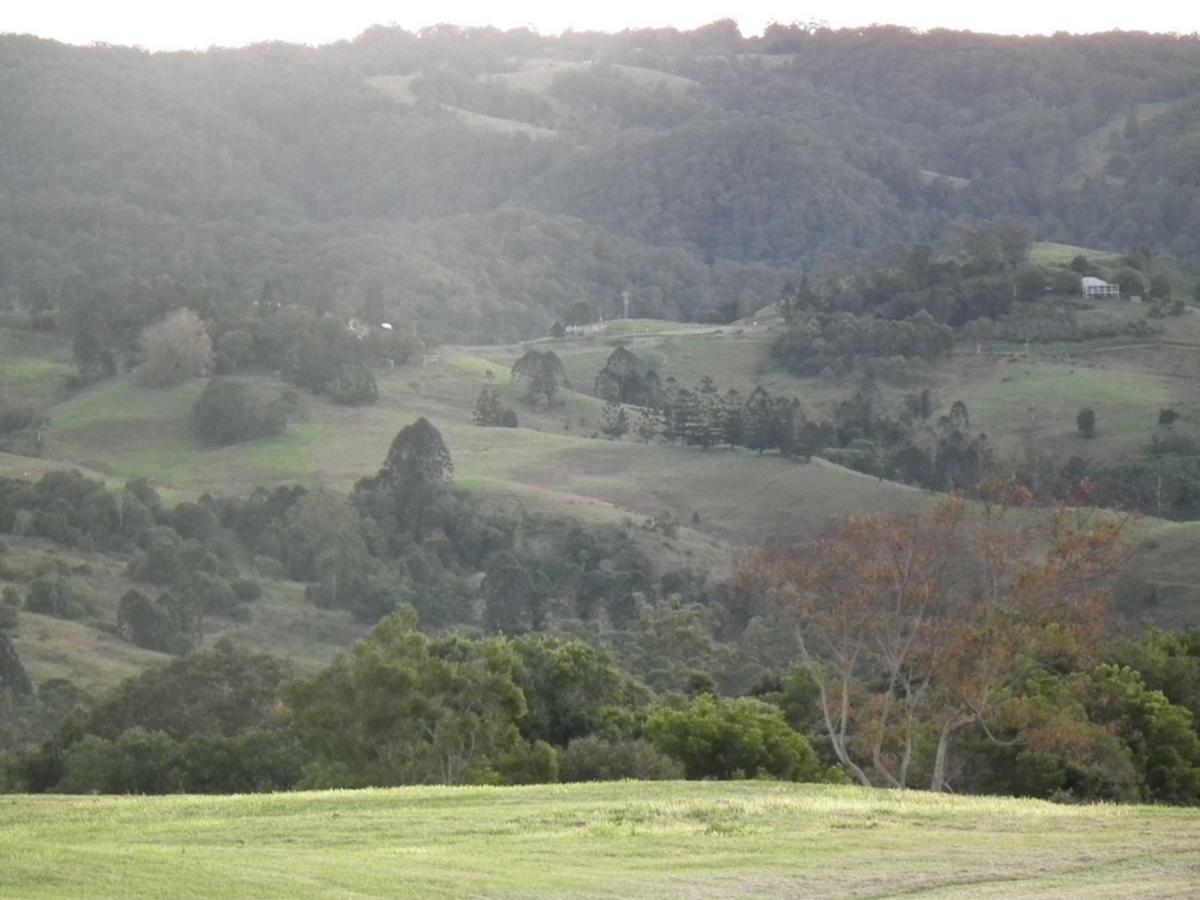Maleny Hinterland Escape Apartment Witta ภายนอก รูปภาพ